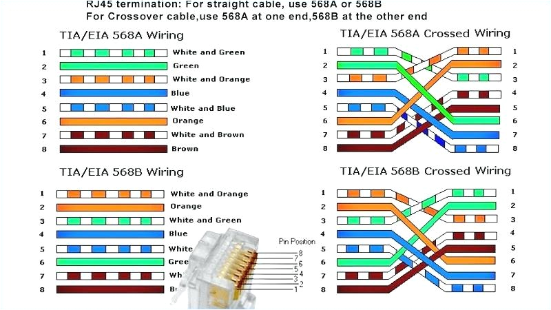 full size of ethernet home network wiring diagram schematic custom o diagrams cat 6 wall jack