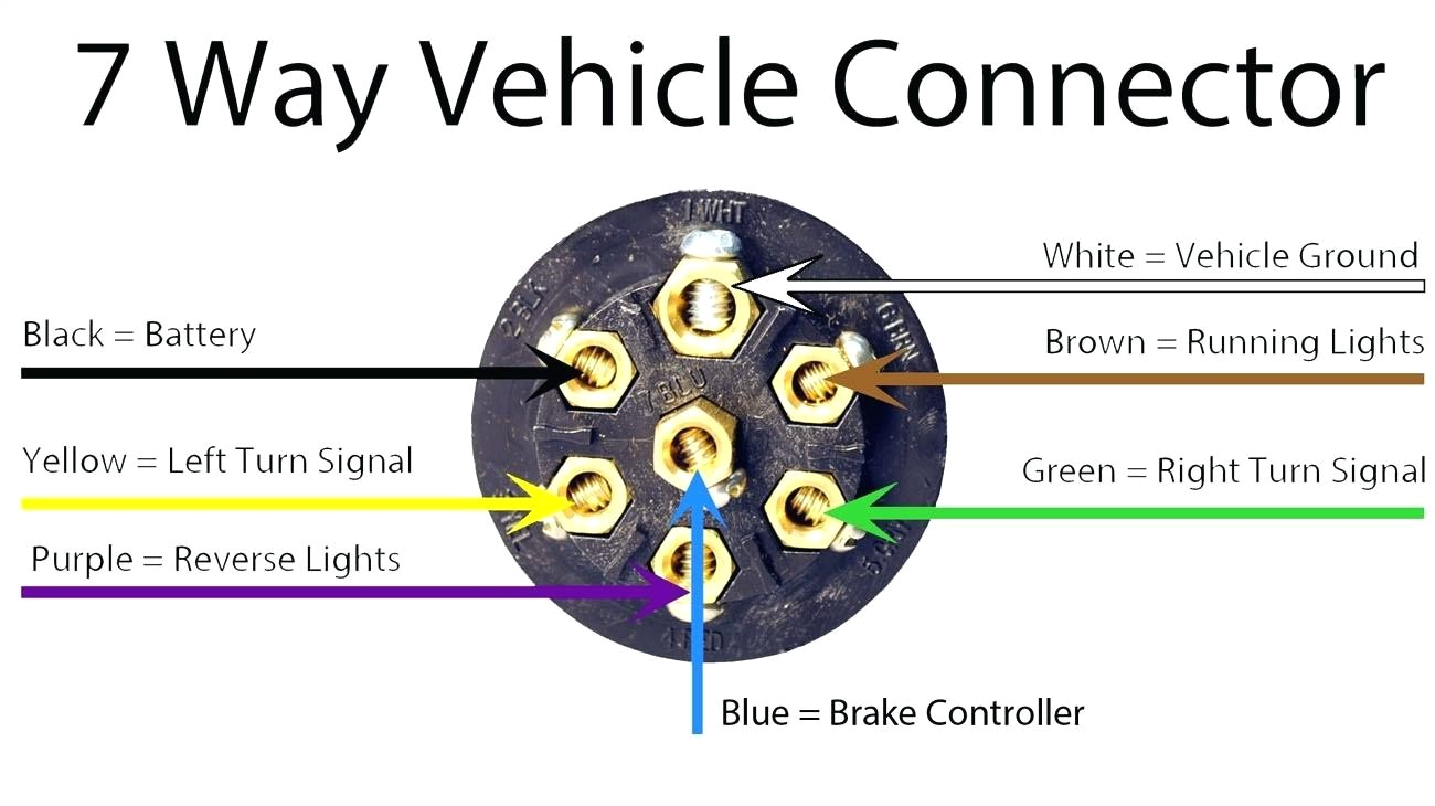 warner trailer wiring diagram schematic diagram database warner trailer plug wiring diagram