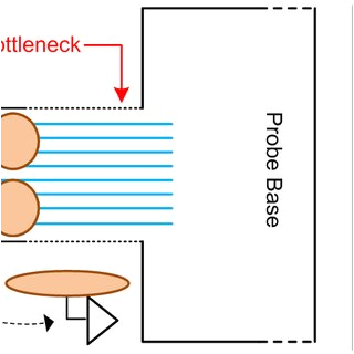 a schematic of implanted probe reaching multiple areas