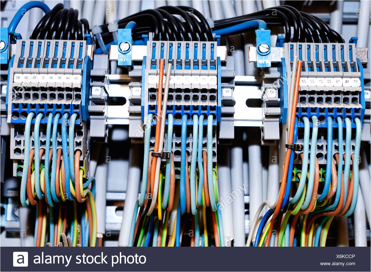 cables in an electrical distribution box stock image