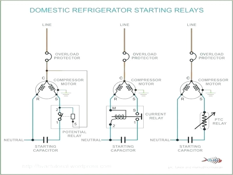 potential start wiring diagram refrigerator starter relay start wiring diagram refrigerator compressor starter wiring diagram at