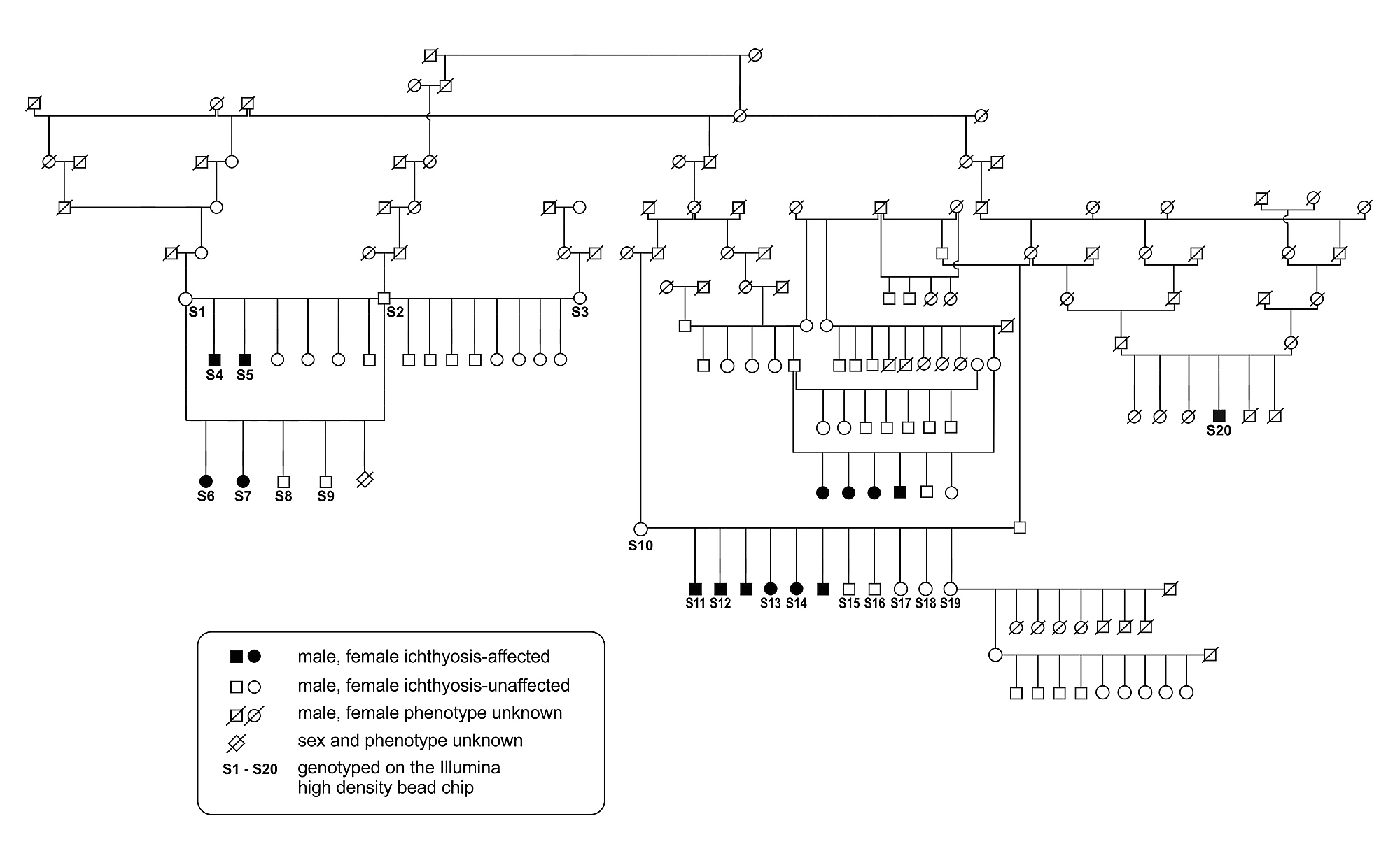 mutant wiring diagram wiring diagram on mri wiring diagram mercury wiring diagram
