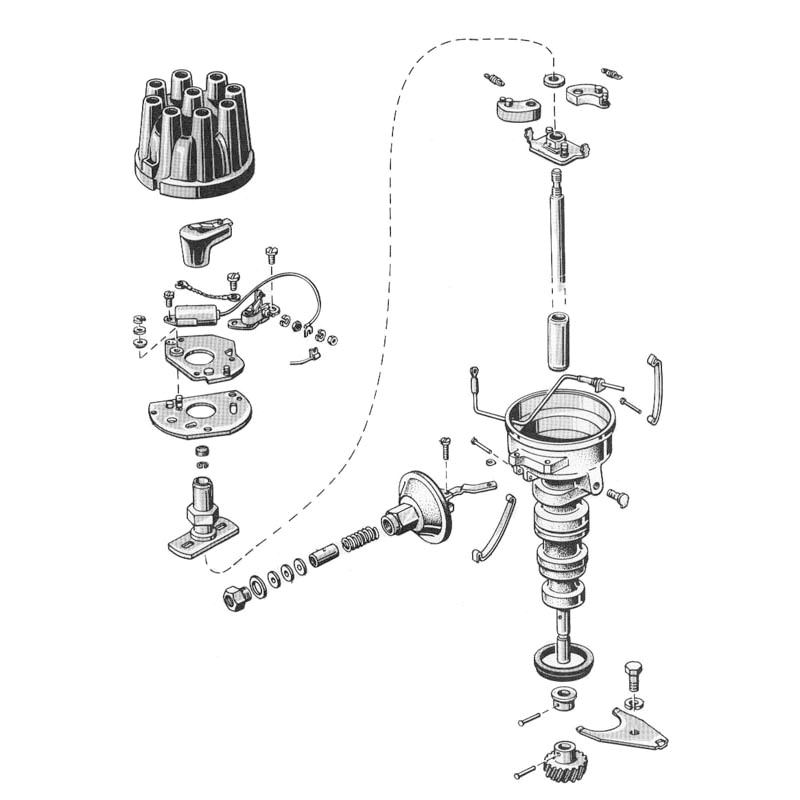 8 cylinder distributor