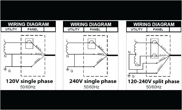 msd 3 step wiring diagram