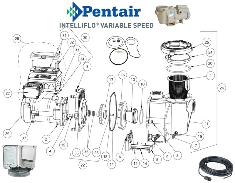 pentair intelliflo pump parts