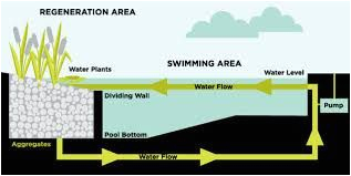 image result for filtration diagram from eko pond to pool