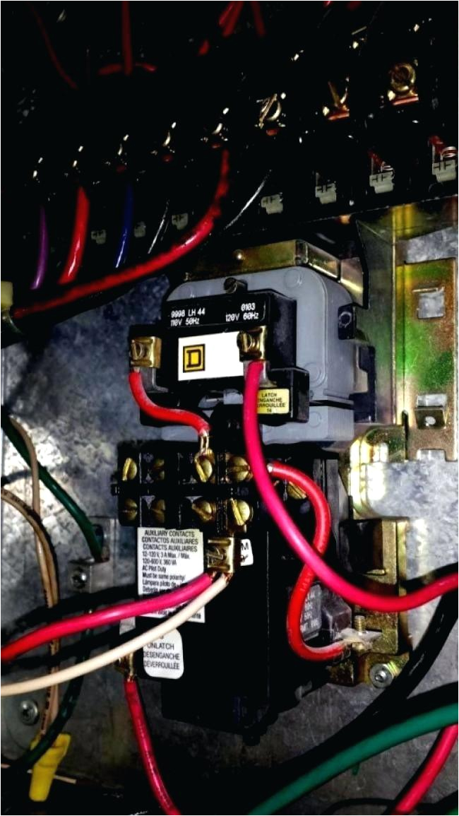 lighting contactor wiring mechanically held lighting wiring wiringlighting contactor wiring collection of square d lighting wiring