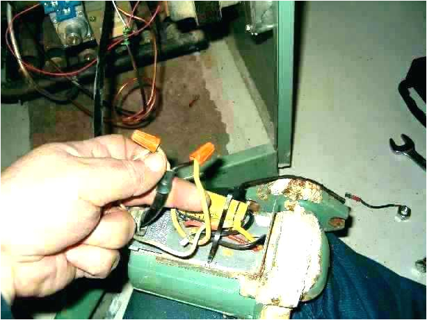 taco circulator pump wiring wiring diagram insidetaco circulator pump wiring wiring diagram details taco circulator pump