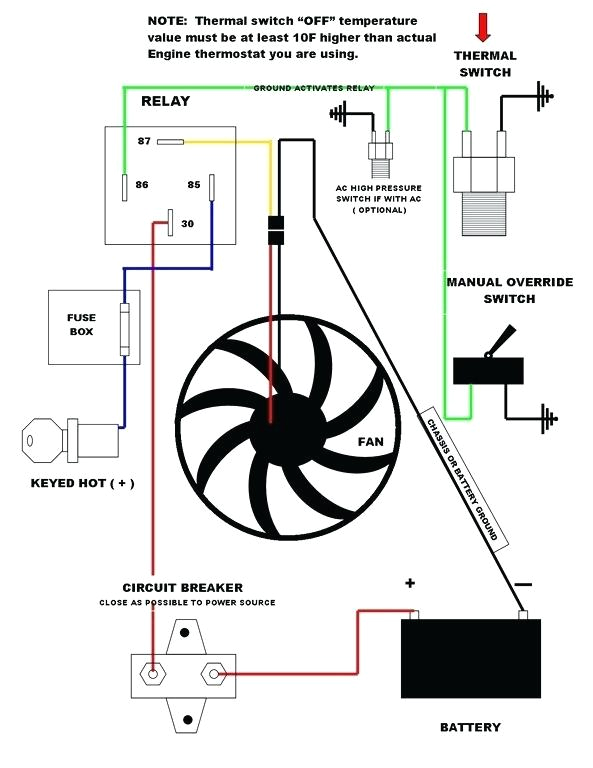 fender p bass wiring diagram fresh elegant