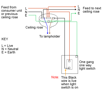 wiring downlights from a ceiling rose image search results wiringwiring a light on a loop wiring