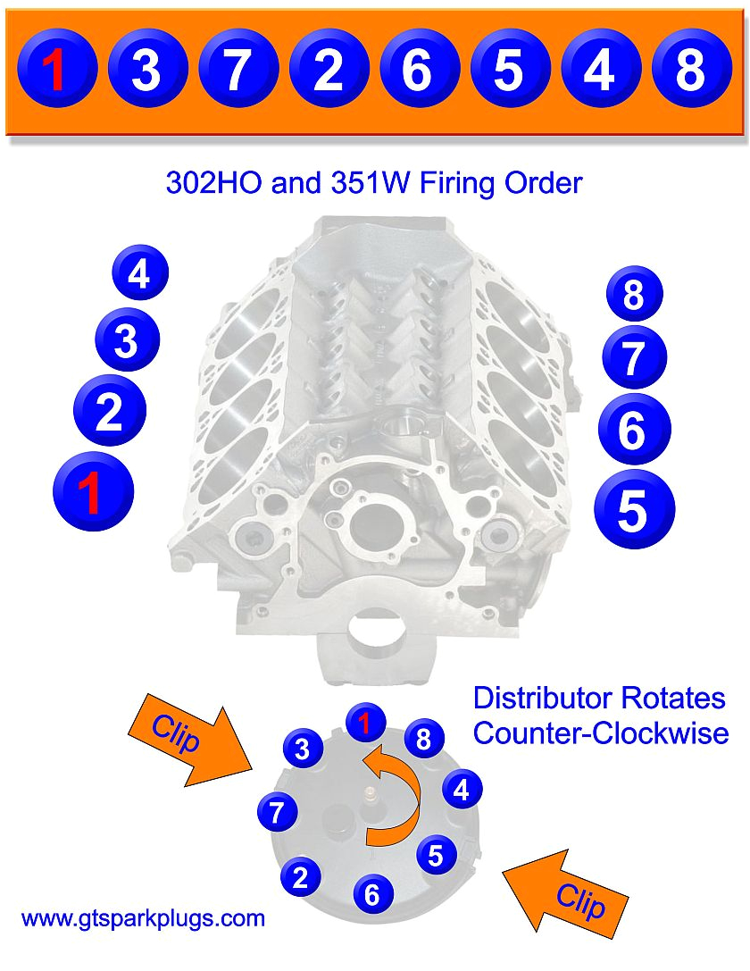 ford5 0l 302ho and 351w firing order