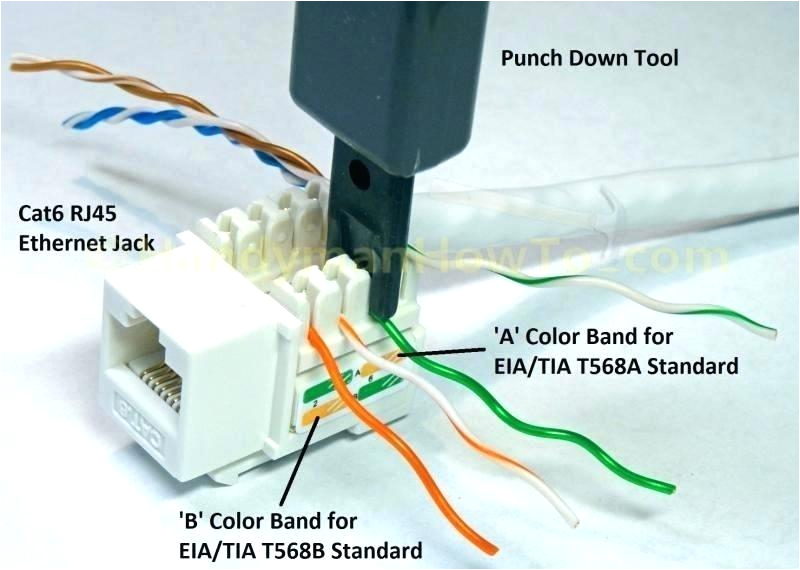 cat5 wiring diagram plate
