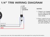 1 4 Stereo Jack Wiring Diagram Phono Plug Wiring Diagram Wiring Diagram Basic