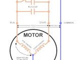 110 220v Motor Wiring Diagram Dual Voltage Single Phase Motor Wiring Diagram Wiring Diagram Blog