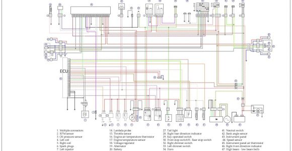 1987 Yamaha Warrior 350 Wiring Diagram 1987 Yamaha Warrior 350 Wiring Diagram Collection