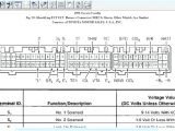 1996 toyota Corolla Wiring Diagram 1995 toyota Corolla Belt Diagram Electrical Wiring Diagram software