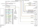 1998 Acura Integra Radio Wiring Diagram 2006 Honda Ridgeline Stereo Wiring Diagram Wiring Diagram Database