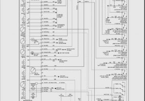 1998 ford Expedition Stereo Wiring Diagram 1998 ford Expedition Radio Wiring Diagram Wiring Diagrams