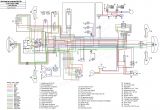 1998 Yamaha Warrior 350 Wiring Diagram Yamaha 350 Warrior Wiring Schematic Wiring Diagram