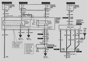 1999 ford Escort Zx2 Wiring Diagram Zx2 Wiring Diagram Book Diagram Schema