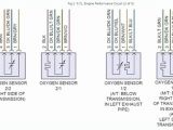 2 Wire Proximity Switch Wiring Diagram 4 Wire Sensor Diagram Wiring Diagram Completed