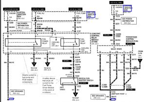 2002 ford Focus Cooling Fan Wiring Diagram Alldatadiy Com 2001 ford Escort Zx2 L4 2 0l Dohc Vin 3