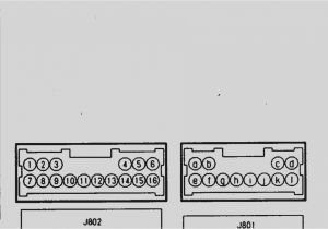 2002 Nissan Xterra Stereo Wiring Diagram Nissan Wire Harness Diagram Online Manuual Of Wiring Diagram