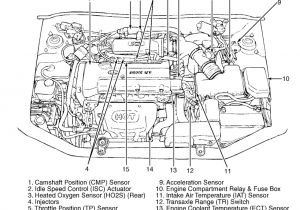 2007 Hyundai Tiburon Radio Wiring Diagram 1999 Hyundai Accent Engine Diagram Auto Electrical Wiring