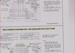 220 Volt Plug Wiring Diagram 220 Volt 3 Phase Plug Woodworking