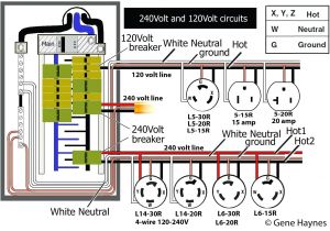 220 Volt Plug Wiring Diagram Nema 5 20r Diagram Wiring Diagrams
