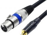 3.5 Mm Audio Cable Wiring Diagram Disino Xlr to 3 5mm 1 8 Inch Stereo Microphone Cable for Camcorders Dslr Cameras Computer Recording Device and More 10ft