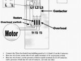 3 Phase Air Compressor Motor Starter Wiring Diagram Weg Motors Wiring Diagram Wiring Diagram Autovehicle