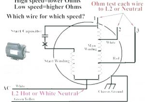 3 Speed Ceiling Fan Pull Chain Switch Wiring Diagram 3 Speed Ceiling Fan Switch Wiring Chuckleaver Co