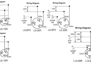 30 Amp Twist Lock Plug Wiring Diagram 480v Plug Wiring Diagram Blog Wiring Diagram