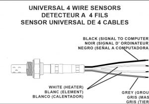 4 Wire Oxygen Sensor Wiring Diagram 4 Wire O2 Diagram Wiring Diagrams Ments