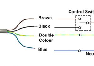 4 Wire Stepper Motor Connection Diagram 4 Wire Motor Diagram Wiring Diagram Go