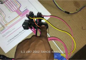 5.3 Vortec Wiring Diagram 5 3 Chevy Swap Wiring Diagram Schema Diagram Database