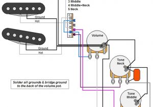 5 Way Strat Switch Wiring Diagram Strat Style Guitar Wiring Diagram