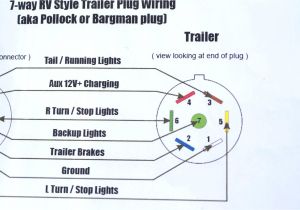 7 Wire Trailer Diagram Bear Trailer Wiring Diagram Wiring Diagram Img