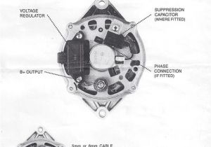 Alternator Wiring Diagram Internal Regulator Bosch Internal Regulator Alternator Wiring Diagram