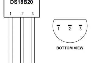 Arduino Ds18b20 Wiring Diagram Raspberry Pi Ds18b20 Temperature Sensor Tutorial Circuit Basics