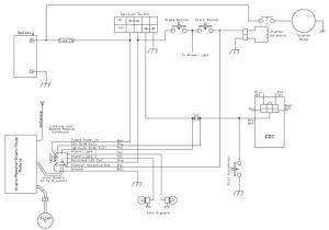 Baja 50 atv Wiring Diagram C251039273 Kazuma 50cc atv Wiring Diagram Wiring Diagram