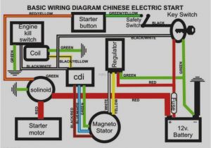 Baja 50 atv Wiring Diagram Honda 50cc atv Wiring Diagram Wiring Diagrams Bib