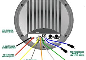 Bazooka Tube Wiring Diagram Rca Car Audio Wiring Diagrams Wiring Diagram Technic