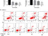 Bodine Eli S 100 Wiring Diagram Down Regulation Of Pkm2 Decreases Fasn Expression In Bladder