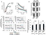 Bodine Eli S 100 Wiring Diagram Imp2 Increases Mouse Skeletal Muscle Mass and Voluntary