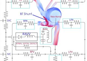 Bt Phone Wiring Diagram Bt Phone Wiring Diagram New In Loop Out Wiring Diagram Inspirational