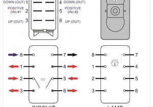 Carling Technologies Rocker Switch Wiring Diagram R13 8 Switch Wiring Diagram Wiring Diagram