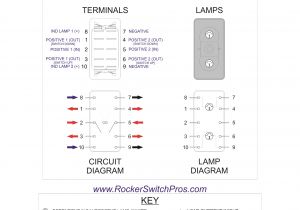 Carling Technologies Rocker Switch Wiring Diagram Spdt Rocker Switch Wiring Wiring Diagram Page