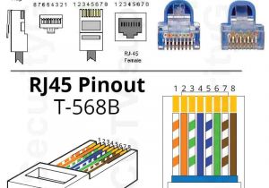 Cat 45 Wiring Diagram Wiring Diagram Further Home Work Rack Cabi On Cat 5e Wall Jack